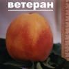 персик сорт Ветеран